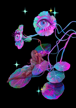  Flora