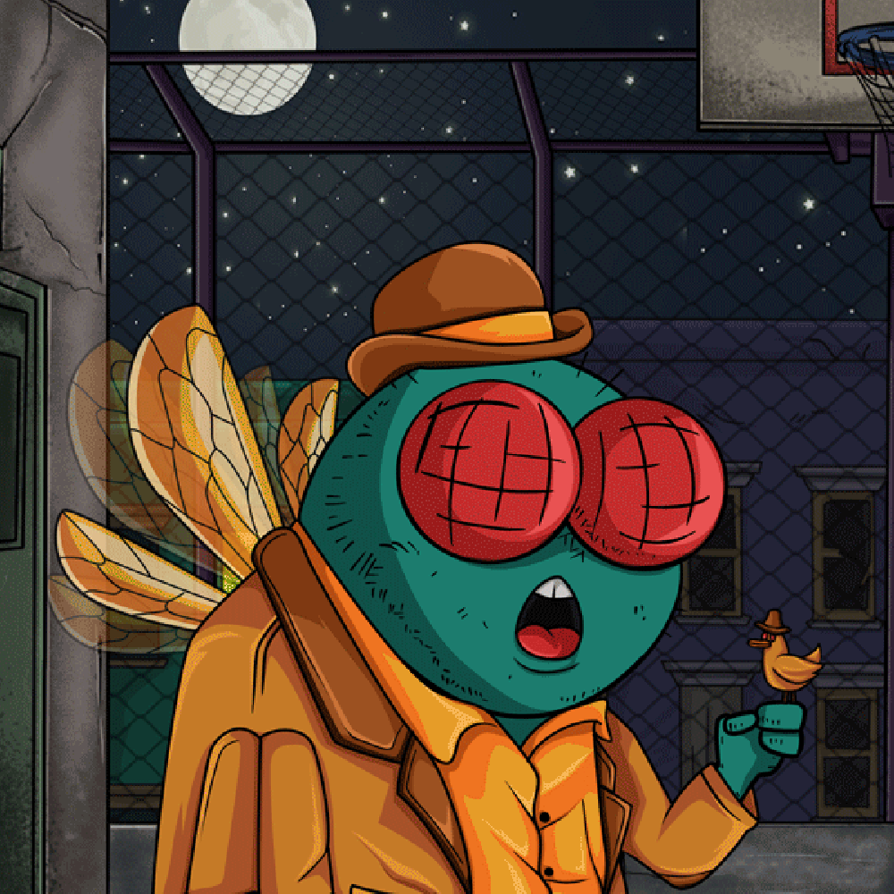 Fly Wen