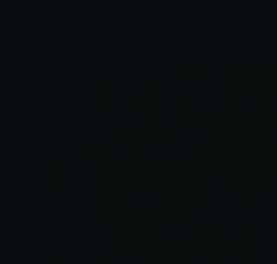 Blank1613261