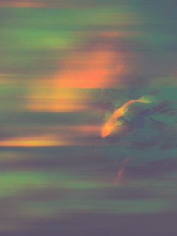 Swimming In Circles