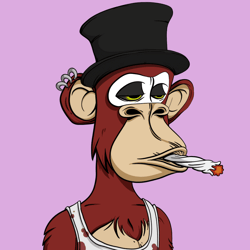 RocknRoll Ape Club