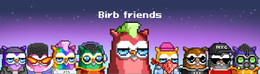 Birbs Friend
