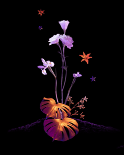 BLOOM Pt. 1 by Maggie West