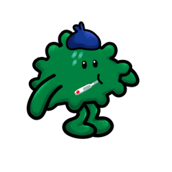 Achoo NFT - Viral Mint