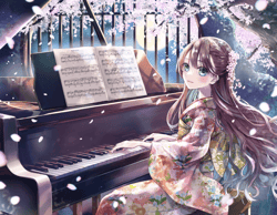 Yadokari_Collections