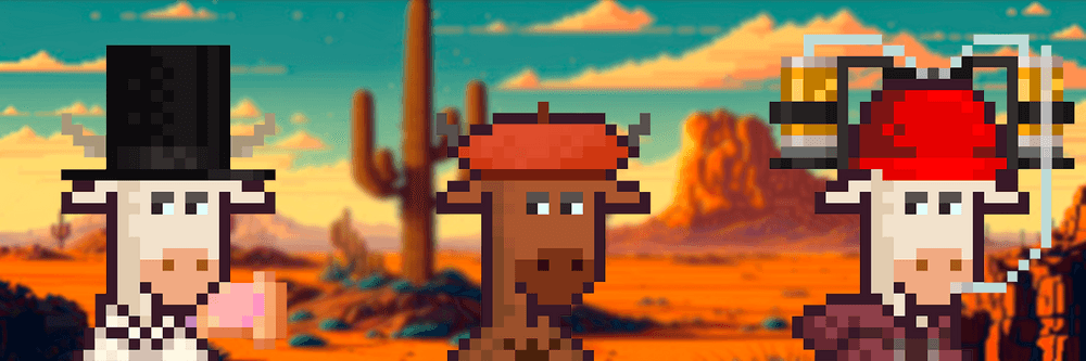 Bullrunwtf