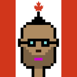 The Canadians NFT Official