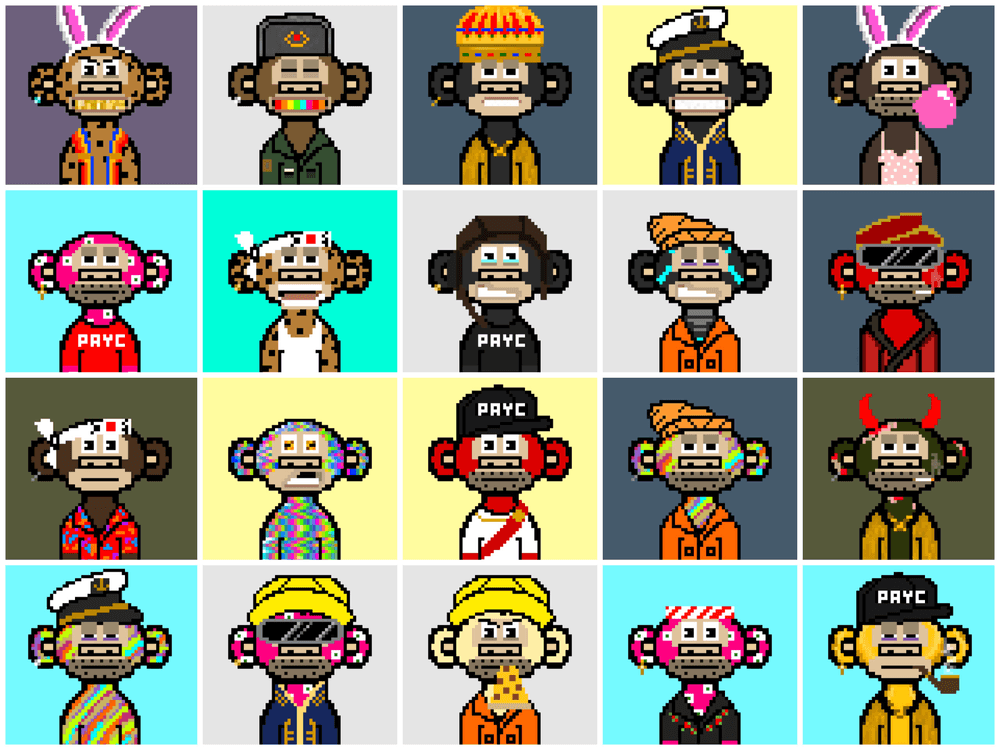 Pixel Ape Yacht Club (PAYC) - Official