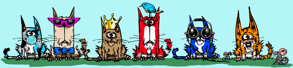 My Scruffy Cats 1