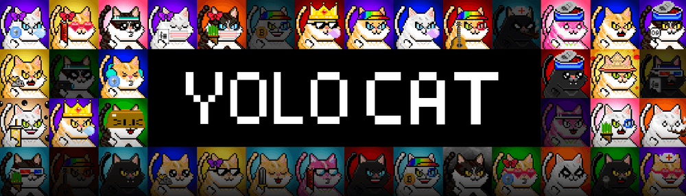 YOLO-Cat-Club