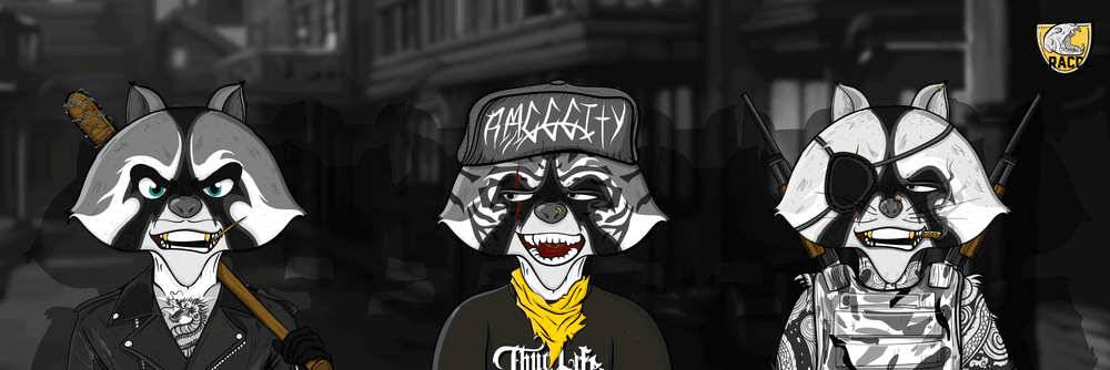 Raccoons Club