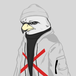 Berkuts