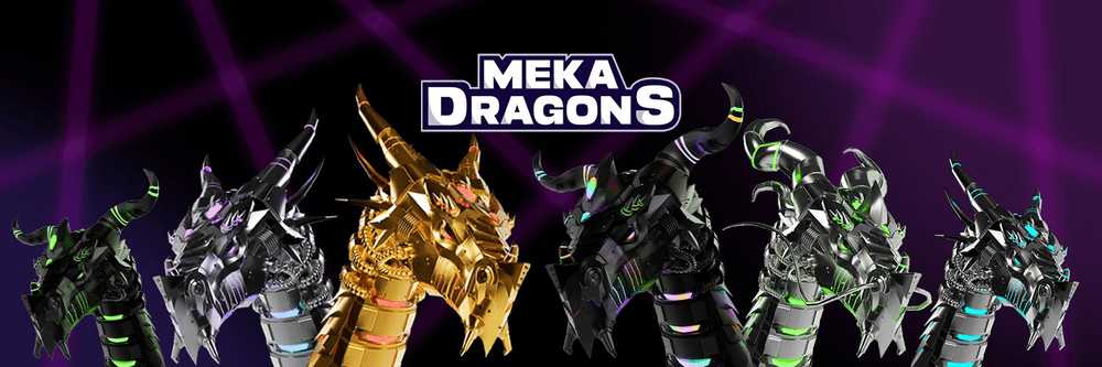 The MekaDragons