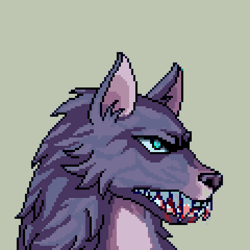Divine Wolves NFTs
