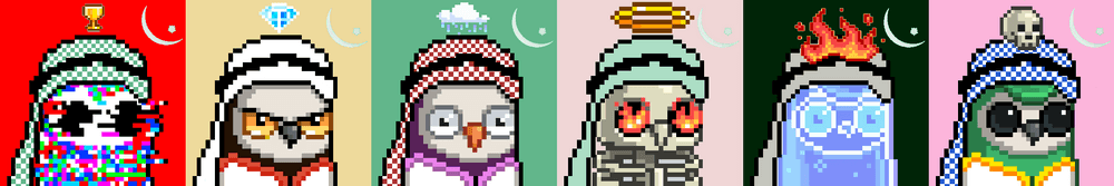 MoonSaudis