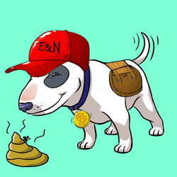 Happy Bull Terrier