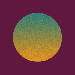 Evening Suns