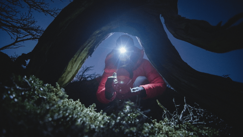 Into The Blue - Cath Simard Behind The Scenes