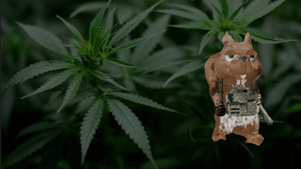 Nutty Squirrels 420 |Free Mint