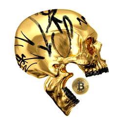 bitskull V4