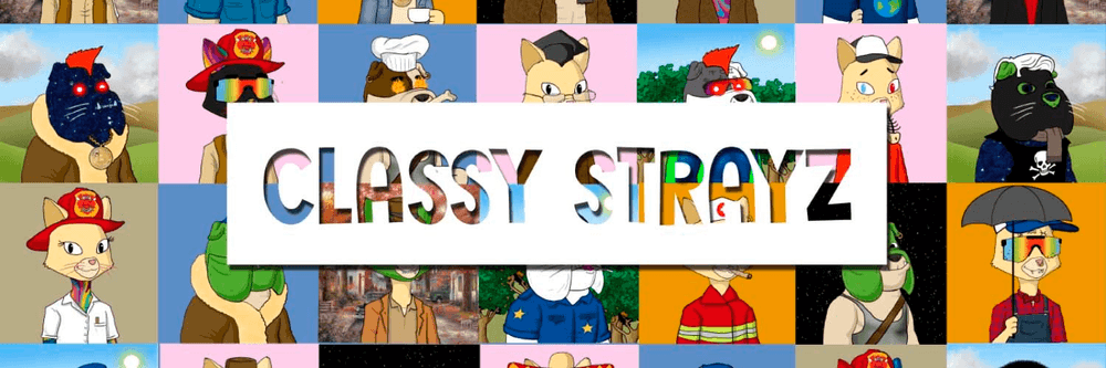 Classy Strayz Cats