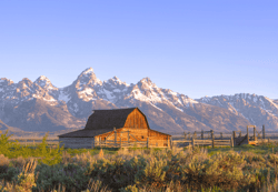 Brynn Alise Summer Barn
