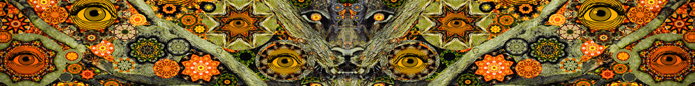 LARRY CARLSON