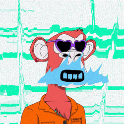 Xcopy Apes Club