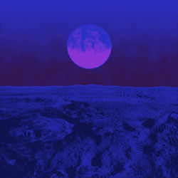 Not Our Sky