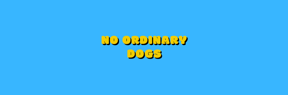 No Ordinary Dogs