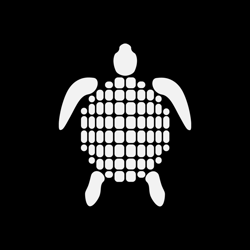Slow Turtles OG