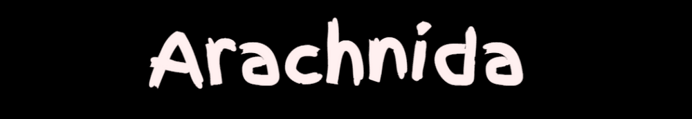 ArachnidaNFT