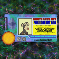 Multi Pass NFT
