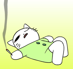 Stoned Cats WTF