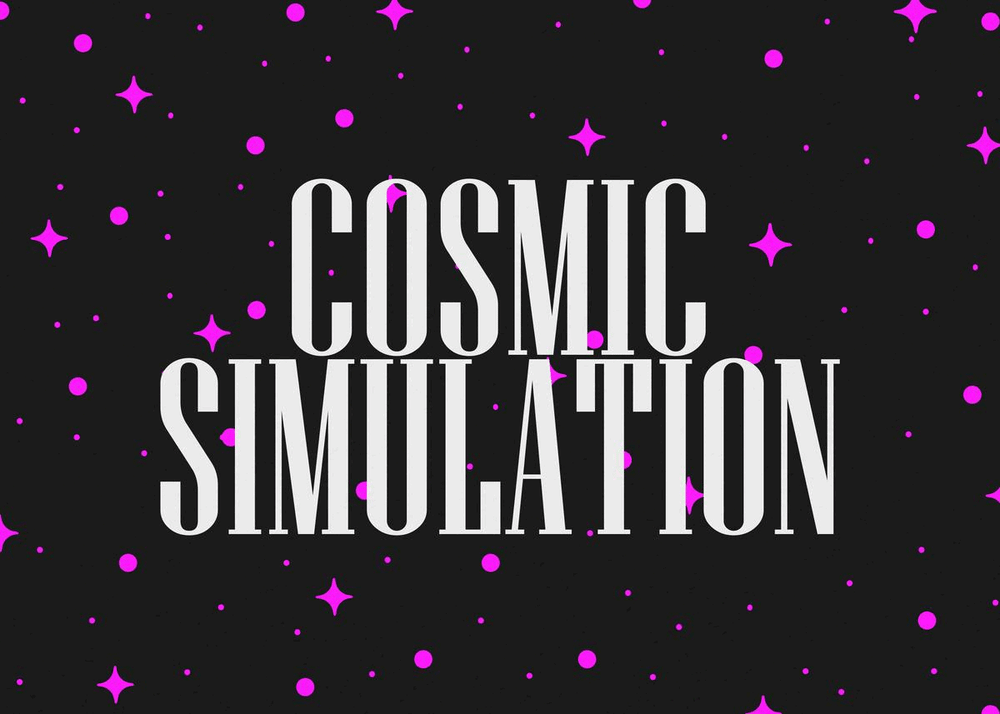 Cosmic Simulation