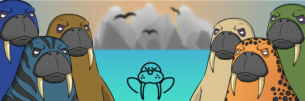 BWC 2D
