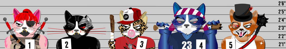 Mad Cat Militia