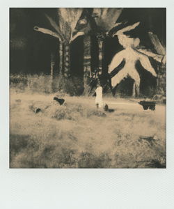Fantasy Creeps V2