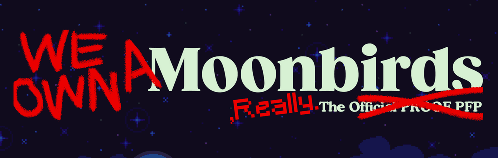 We Own A Moonbird