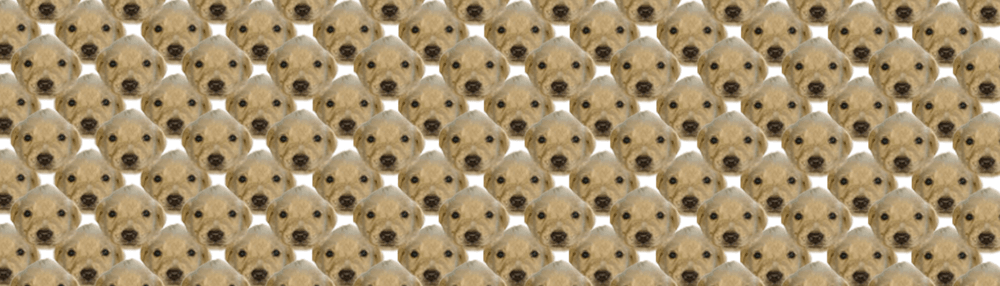 DegenDoggos NFT