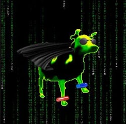 Cancerous Cows