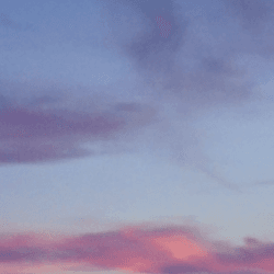 heydemo