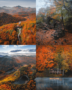 SEASONS by Brayden Hall
