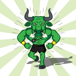 RUN BULLS