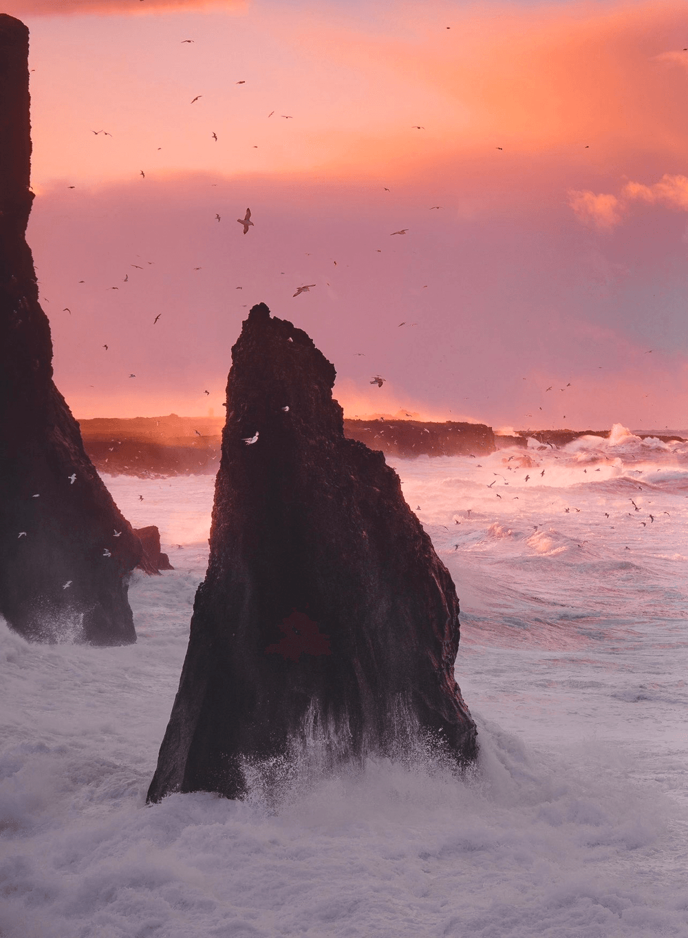 góðan daginn