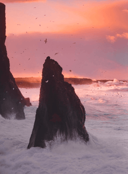 góðan daginn