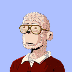 PY00ts