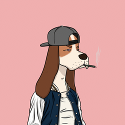 Snoops Dogs NFT