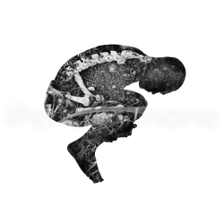 Human Nature - A Collaboration between Erica Simone & Jaci Berkopec
