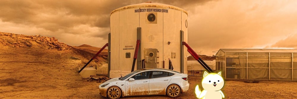 Doge Elon Club